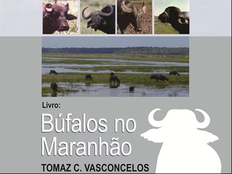 Livro 